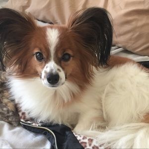 Meet your Posher, Saya